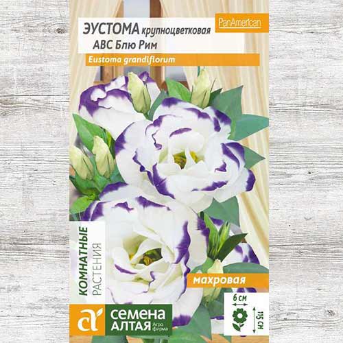 Эустома махровая ABC Блю Рим изображение 1 артикул 81830