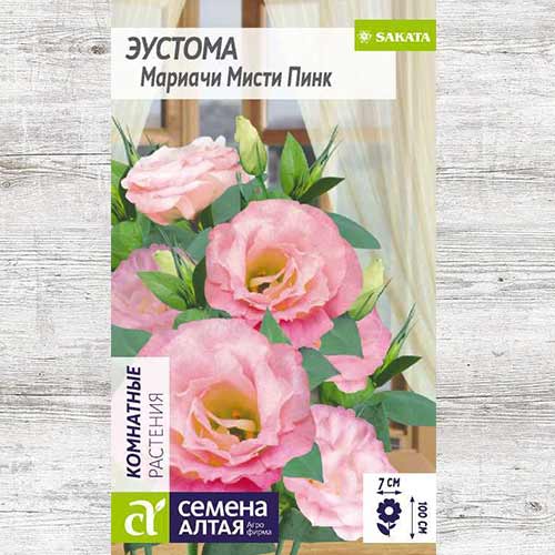 Эустома Мариачи Мисти Пинк F1 артикул фото 1 Эустома Мариачи Мисти Пинк F1 изображение 1 артикул 81828