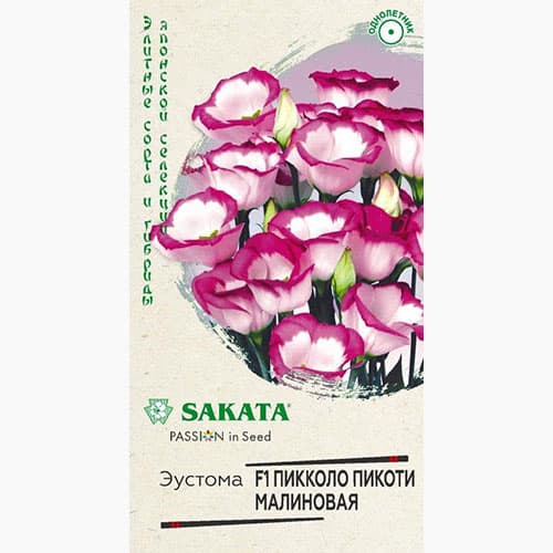Эустома Пикколо Пикоти малиновая F1 Гавриш изображение 1 артикул 97843