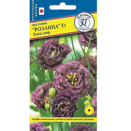 Эустома Розанна Блек пир F1 артикул фото 1 Эустома Розанна Блек пир F1 изображение 1 артикул 81424
