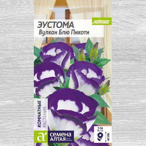 Эустома Вулкан Блю Пикоти изображение 1 артикул 78293