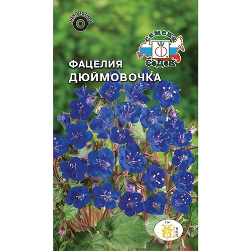 Фацелия Дюймовочка Седек изображение 1 артикул 93988