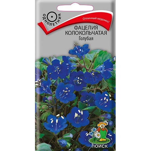 Фацелия Голубая Поиск изображение 1 артикул 93134