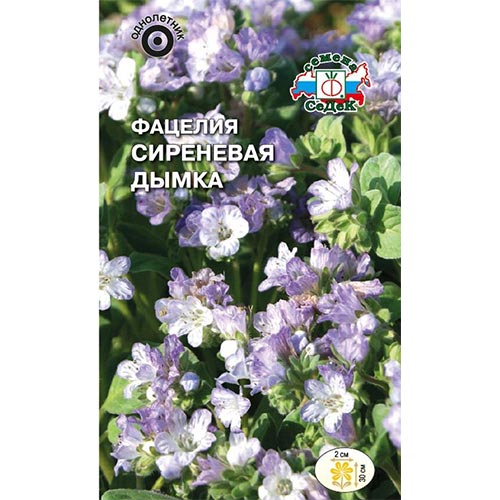 Фацелия Сиреневая дымка Седек изображение 1 артикул 93989