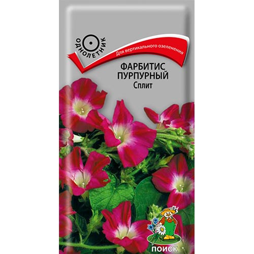 Фарбитис пурпурный Сплит изображение 1 артикул 93132