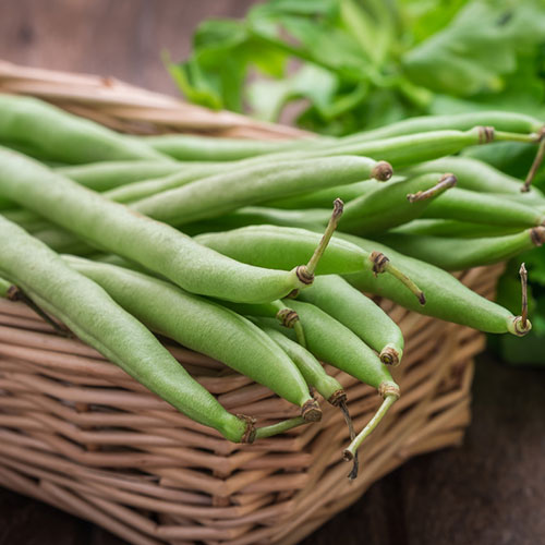 Фасоль спаржевая Гирлянда Premium Seeds изображение 1 артикул 83876