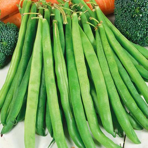 Фасоль спаржевая Купчиха Premium Seeds изображение 1 артикул 83878