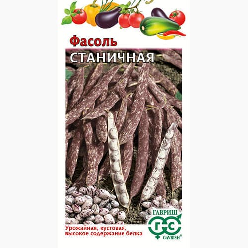 Фасоль зерновая Станичная Гавриш артикул фото 1 Фасоль зерновая Станичная Гавриш изображение 1 артикул 97560