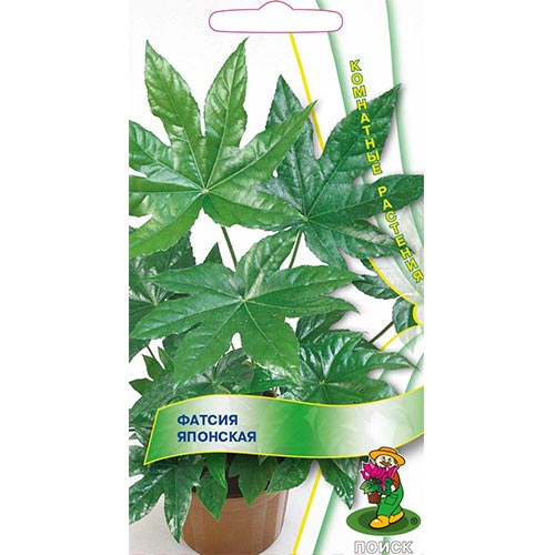 Фатсия японская Поиск изображение 1 артикул 93133