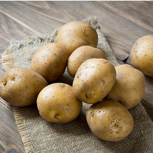 Картофель Ариэль изображение 1 артикул 5661