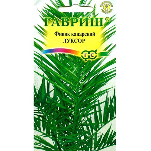Финик канарский Луксор Гавриш изображение 1 артикул 91622