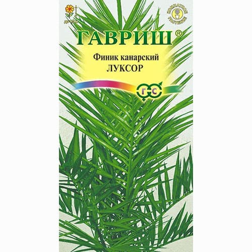 Финик канарский Луксор Гавриш изображение 1 артикул 66145