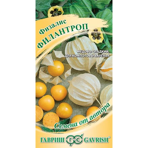 Физалис овощной Филантроп Гавриш изображение 1 артикул 91871