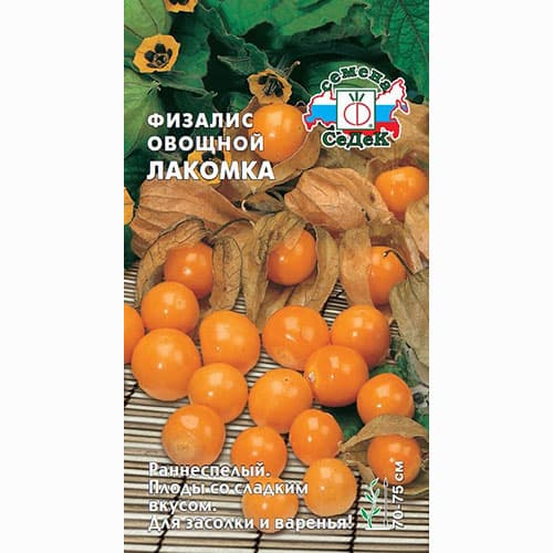 Физалис овощной Лакомка Седек артикул фото 1 Физалис овощной Лакомка Седек изображение 1 артикул 82531