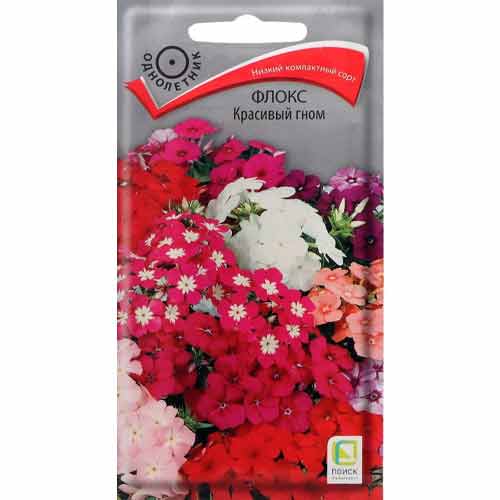 Флокс Друммонда Красивый гном, смесь окрасок Поиск изображение 1 артикул 93136