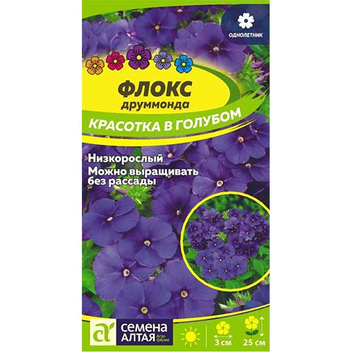 Флокс Друммонда Красотка в голубом Семена Алтая артикул фото 1 Флокс Друммонда Красотка в голубом Семена Алтая изображение 1 артикул 81800