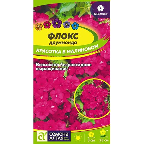 Флокс Друммонда Красотка в малиновом Семена Алтая артикул фото 1 Флокс Друммонда Красотка в малиновом Семена Алтая изображение 1 артикул 81802