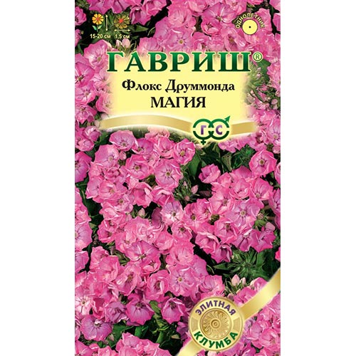 Флокс Друммонда Магия Гавриш изображение 1 артикул 92236