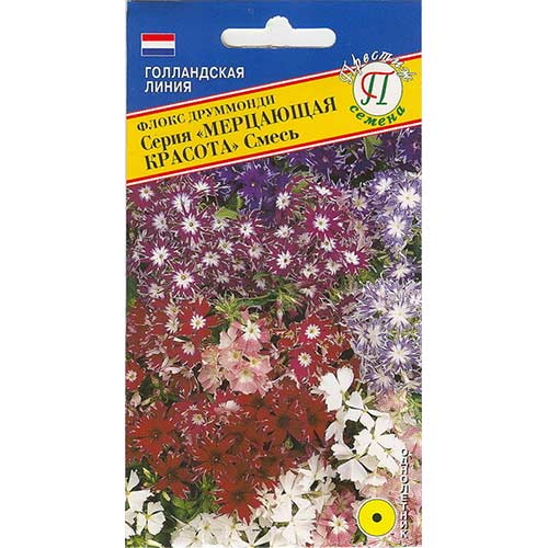 Флокс Друммонда Мерцающая красота, смесь окрасок Престиж изображение 1 артикул 84562