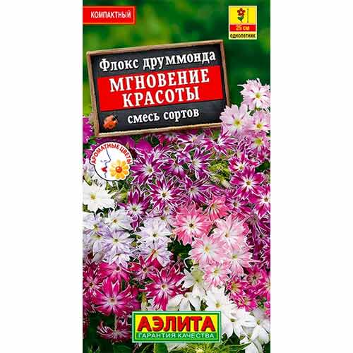Флокс друммонда Мгновение красоты, смесь окрасок Аэлита изображение 1 артикул 99166