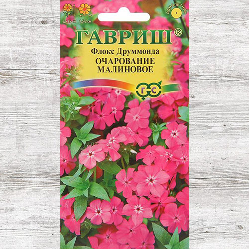 Флокс Друммонда Очарование малиновое Гавриш изображение 1 артикул 73918