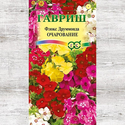 Флокс Друммонда Очарование, смесь окрасок Гавриш артикул фото 1 Флокс Друммонда Очарование, смесь окрасок Гавриш изображение 1 артикул 73921