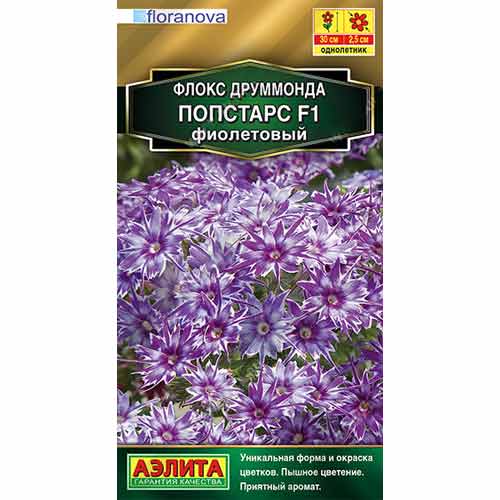 Флокс друммонда Попстарс фиолетовый F1 Аэлита изображение 1 артикул 99171