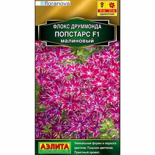 Флокс друммонда Попстарс малиновый F1 Аэлита артикул фото 1 Флокс друммонда Попстарс малиновый F1 Аэлита изображение 1 артикул 99169