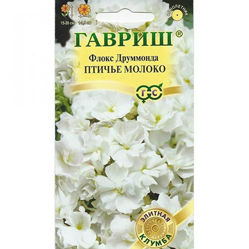 Флокс Друммонда Птичье молоко Гавриш изображение 1 артикул 92237