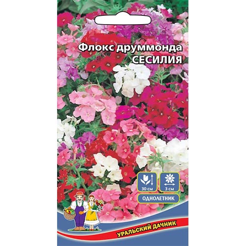 Флокс Друммонда Сесилия, смесь окрасок Уральский дачник изображение 1 артикул 94848