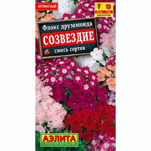 Флокс друммонда Созвездие, смесь окрасок Аэлита изображение 1 артикул 99173