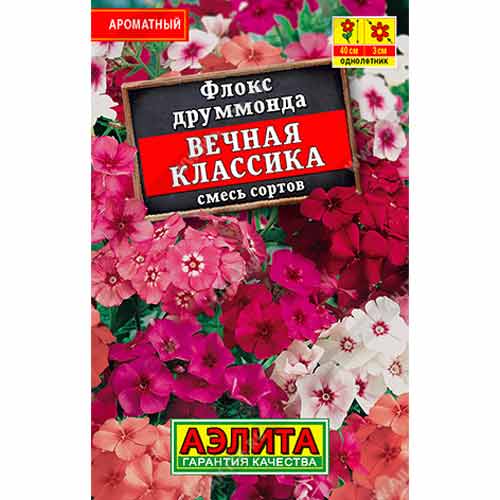 Флокс друммонда Вечная классика, смесь окрасок Аэлита артикул фото 1 Флокс друммонда Вечная классика, смесь окрасок Аэлита изображение 1 артикул 99162