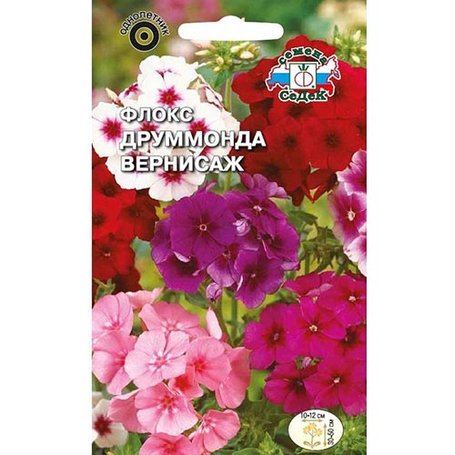 Флокс Друммонда Вернисаж, смесь окрасок Седек изображение 1 артикул 93990