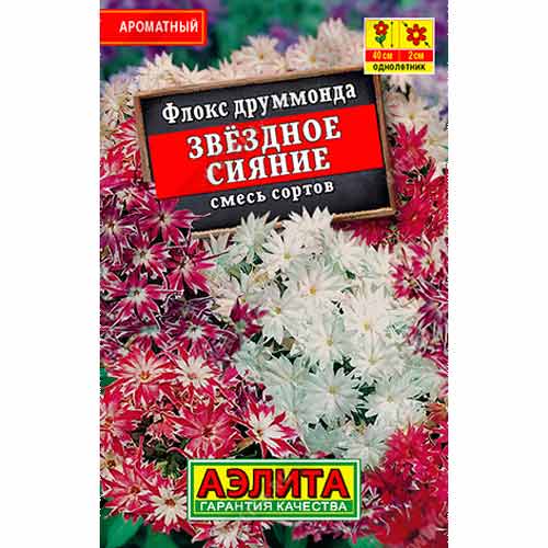 Флокс друммонда Звездное сияние, смесь окрасок Аэлита артикул фото 1 Флокс друммонда Звездное сияние, смесь окрасок Аэлита изображение 1 артикул 99163