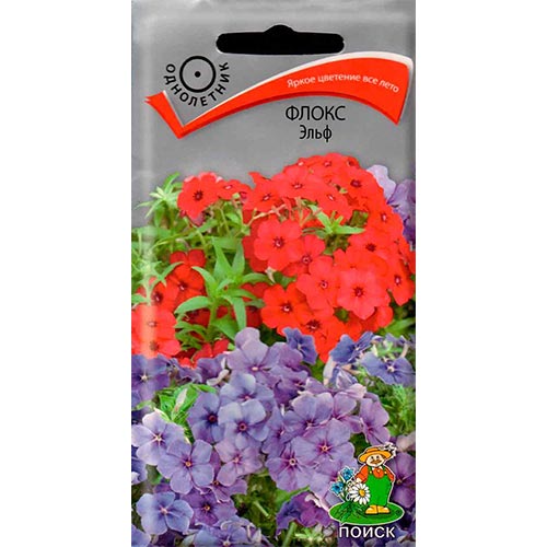 Флокс Эльф, смесь окрасок Поиск изображение 1 артикул 93139