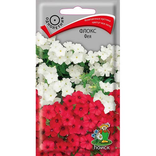 Флокс Фея, смесь окрасок Поиск изображение 1 артикул 93138