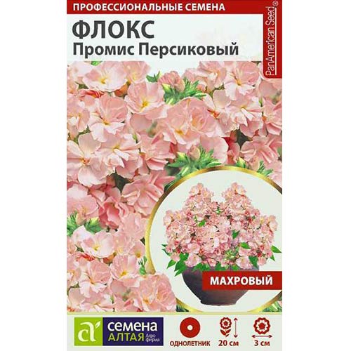 Флокс Друммонда Промис персиковый Семена Алтая артикул фото 1 Флокс Друммонда Промис персиковый Семена Алтая изображение 1 артикул 78175
