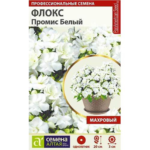 Флокс Друммонда Промис белый Семена Алтая артикул фото 1 Флокс Друммонда Промис белый Семена Алтая изображение 1 артикул 81804