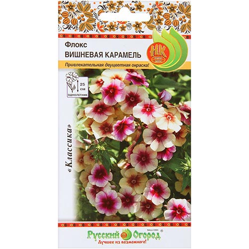 Флокс Вишневая карамель НК изображение 1 артикул 92640