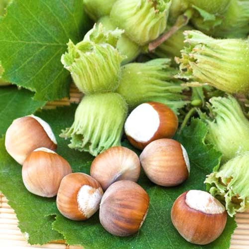 Фундук Шедевр изображение 2 артикул 7452