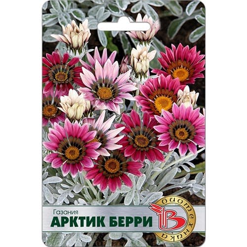 Газания Арктик Берри Биотехника изображение 1 артикул 91578