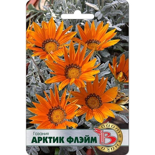 Газания Арктик Флэйм Биотехника артикул фото 1 Газания Арктик Флэйм Биотехника изображение 1 артикул 91581