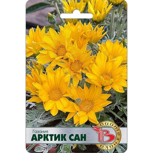 Газания Арктик Сан Биотехника изображение 1 артикул 91579