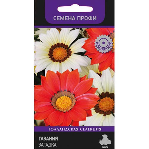 Гацания (газания) Загадка, смесь окрасок Поиск изображение 1 артикул 92935