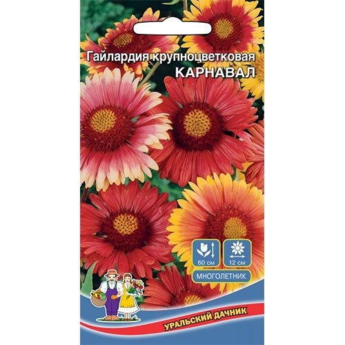 Гайлардия Карнавал, смесь окрасок Уральский дачник изображение 1 артикул 94777