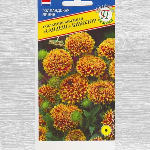 Гайлардия красивая Санденс Биколор изображение 1 артикул 73629