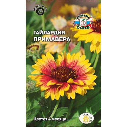 Гайлардия Примавера Седек изображение 1 артикул 93717