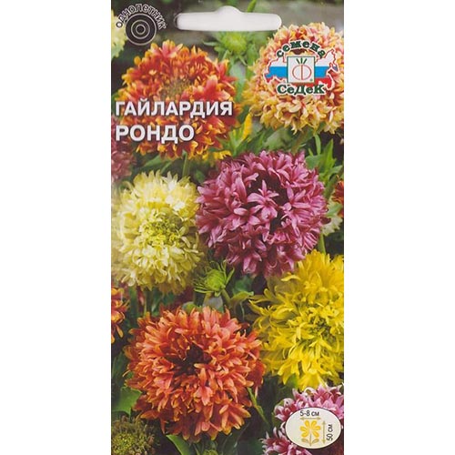 Гайлардия Рондо Седек изображение 1 артикул 93718