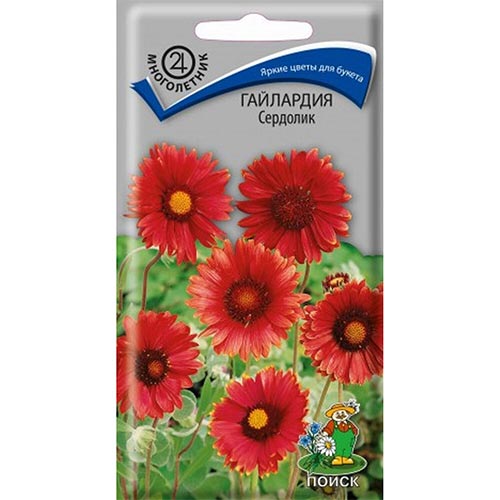 Гайлардия Сердолик Поиск изображение 1 артикул 92931