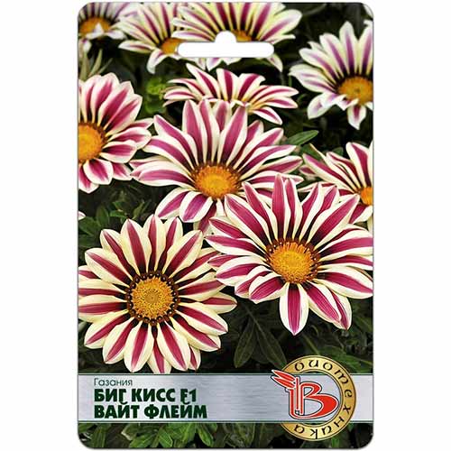 Газания Биг Кисс Вайт Флейм F1 Биотехника изображение 1 артикул 74074